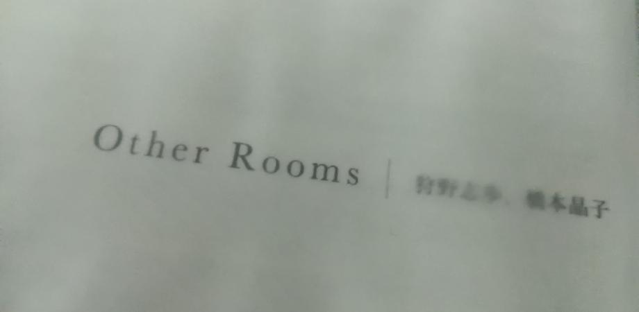 Other rooms 狩野志歩、橋本晶子